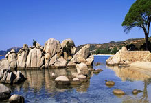 钙钛矿太阳能电池研制成功