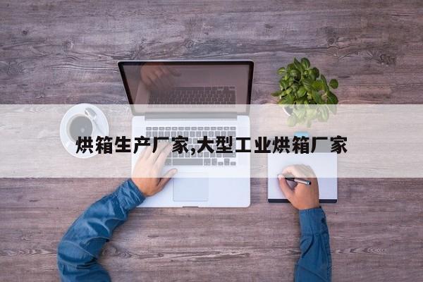 烘箱生产厂家,大型工业烘箱厂家